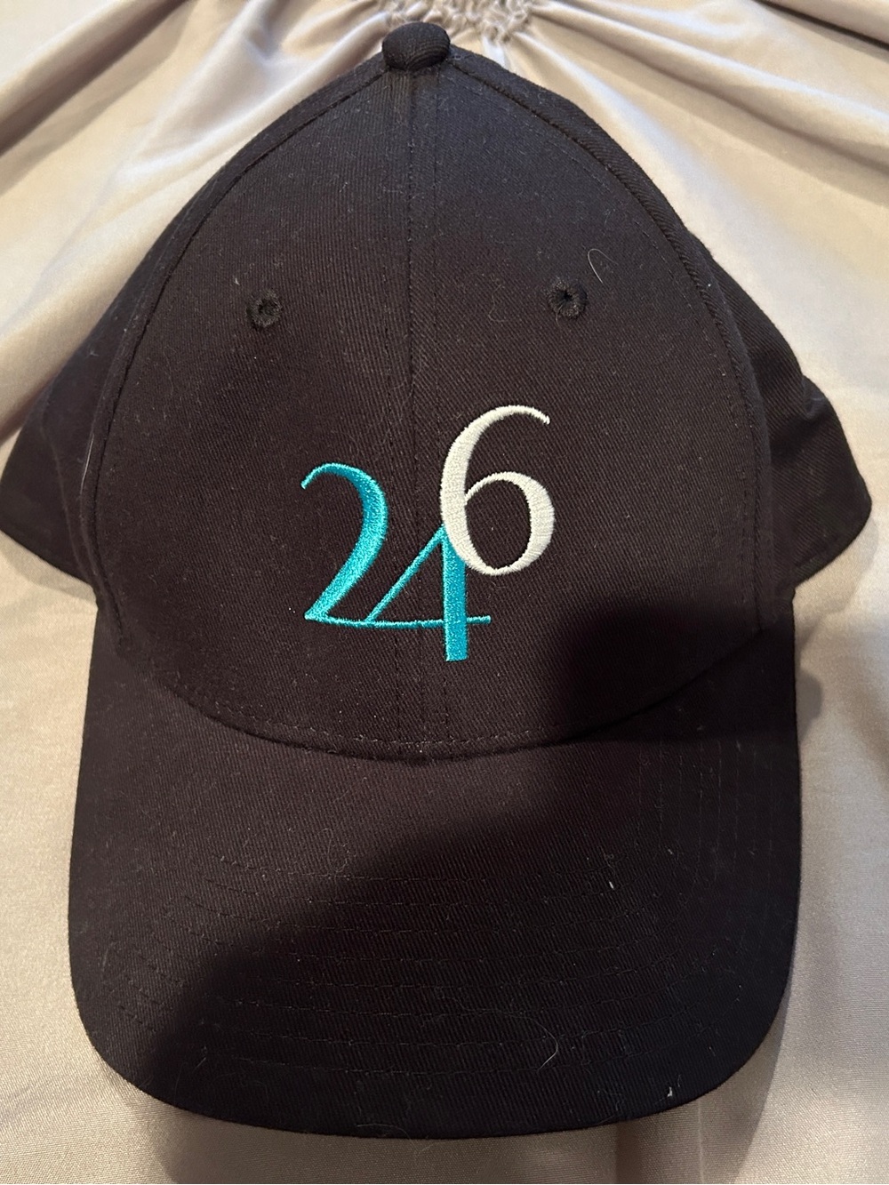NWOT Men’s Black 246 Embroidered Baseball Cap by Chabad West Village